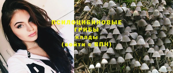 PSILOCYBIN Армянск